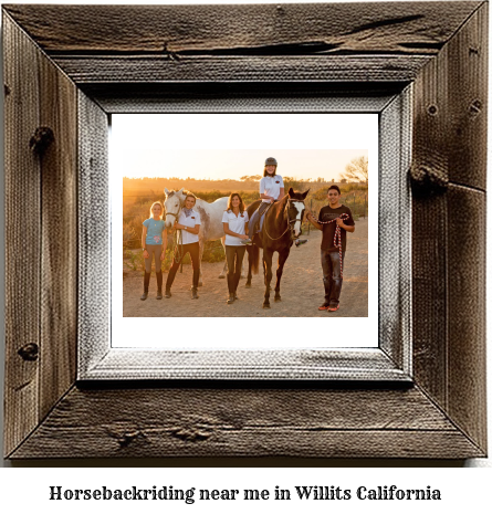 horseback riding near me in Willits, California